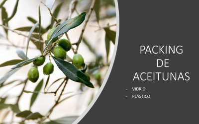 Aceitunas_page-0001 (1)