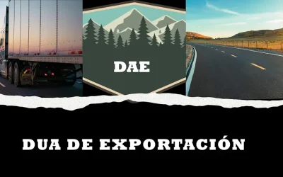 qué es el DAE: Documento de Acompañamiento de Exportación